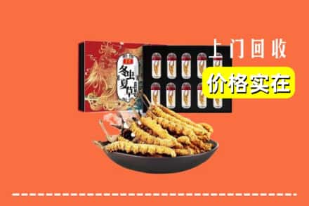武威市古浪回收冬虫夏草